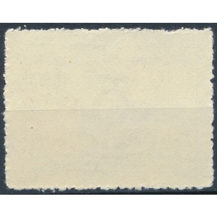 Asia-Africa People's Solidarity: 8a - Afghanistan 1981 - NM NH - MiNr 1259