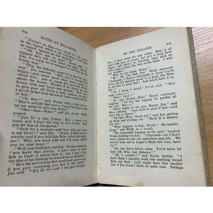c1919 MARY GRANT BRUCE "MATES AT BILLABONG" ILLUSTRATED FICTION BOOK (P3)