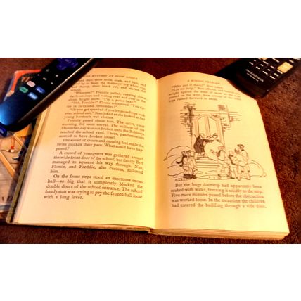 The Bobbsey Twins At Snow Lodge 1960 By Laura Lee Hope Great Shape