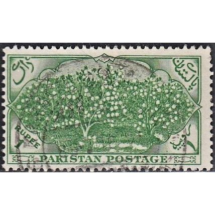 PAKISTAN, 1954 1r Tea Garden, SG 70 (Scott #71), used