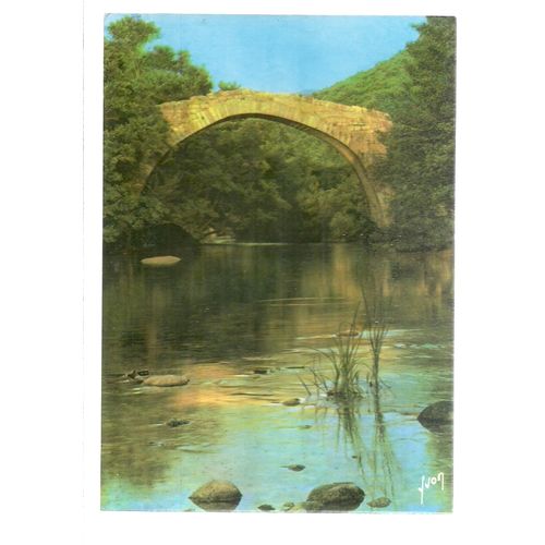 THE PALM GROVE, NEFTA, TUNISIA unused postcard vintage =