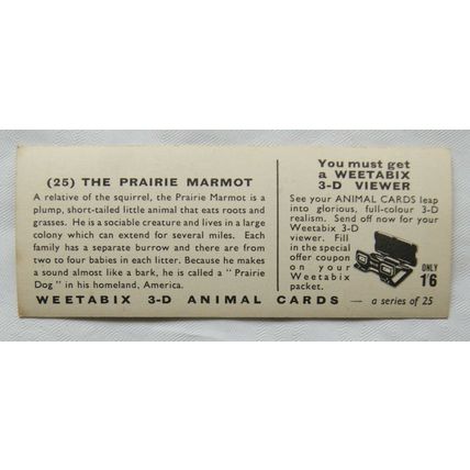 1960s Weetabix 3-D Animal Card No. 25 The Prairie Marmot