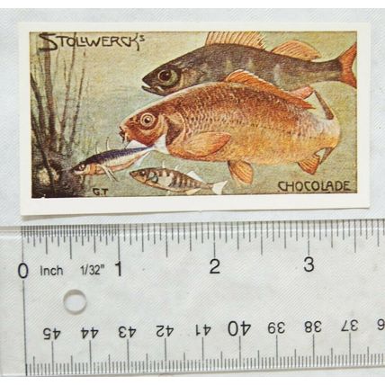 Jacobs Picture cards from History 14, Stollwerck's Toy Phonographs, carp perch
