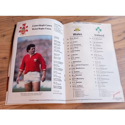 1987 Wales vs Ireland Rugby Union Programme & Ticket, Cardiff Arms, Five Nations