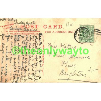 Henley Bridge, Oxon, Rare Wyndham Postcard 1905