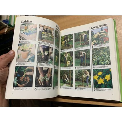 1982 "PRACTICAL GARDENING - STEP BY STEP GARDENING" LARGE HARDBACK BOOK (P6)