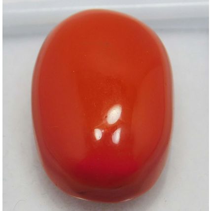 100% Natural 15.50 Ct Coral Oval Cut Rare Italian Loose Gemstone