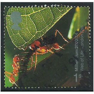 Great Britain 2000 Life & Earth 1st London Zoo Used SG 2139 Sc1903 postage stamp