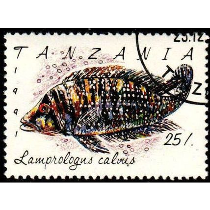 Africa Tanzania 1991 Fish 25/- Used Stamp