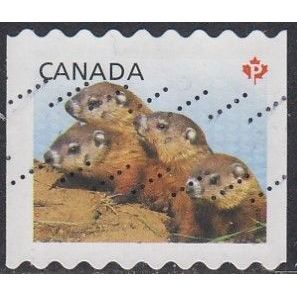 CANADA, 2013 'P' Juvenile Wildlife coil, SG 2706 (Scott #2604), used