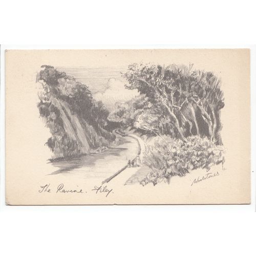 The Ravine Filey 1936 Sketch Postcard