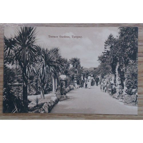 Postcard: Devon, Torquay, Terrace Gardens: c1920.......................(Palms)