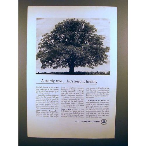 1950 Bell Telephone Ad - A Sturdy Tree, Keep it Healthy