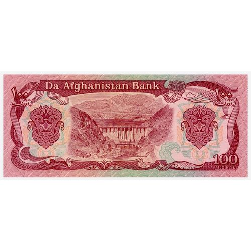 1991 Afghanistan 100 Afghanis Banknote UNC