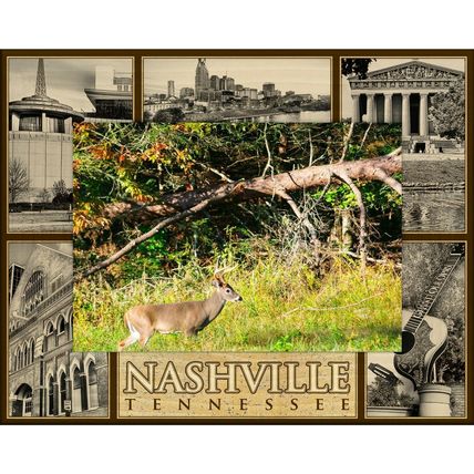 Nashville Tennessee Montage Laser Engraved Wood Picture Frame Landscape (5 x 7)