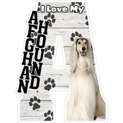 I Love My Afghan Hound Fridge Magnet