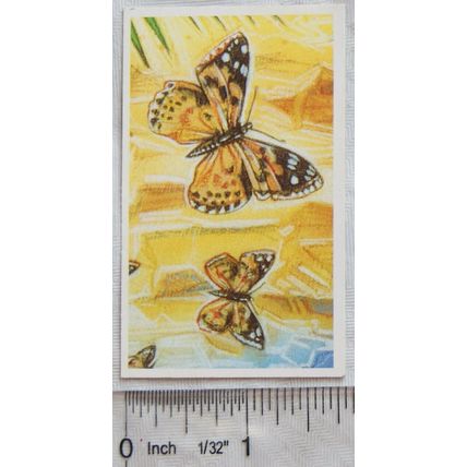 Brooke Bond Going Wild No. 4 Painted Lady Butterfly, Wildlife Survival Challenge