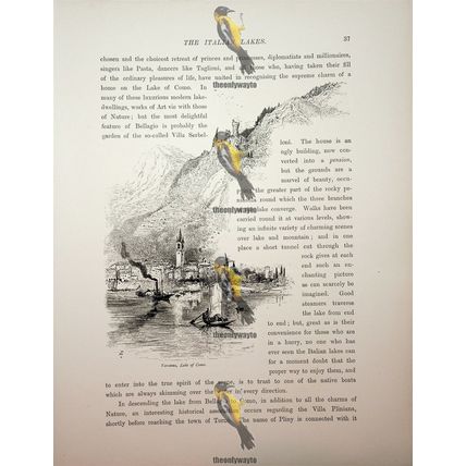 Varenna, Lake Como, Italy, Book Illustration (Print), c1875