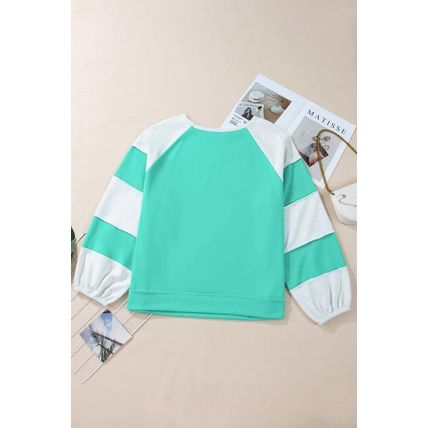 Aruba Blue Colorblock Patchwork Cross Seam Plus Sweatshirt