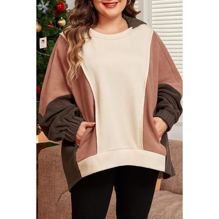 Brown Exposed Seam Colorblock Plus Size Hoodie