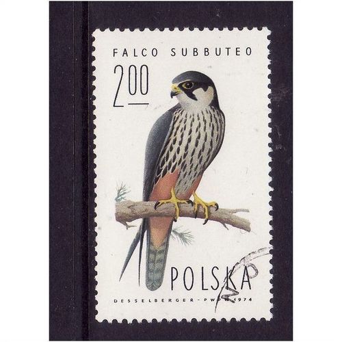 POLAND 1975 SG2345 2Z NORTHERN HOBBY FINE USED