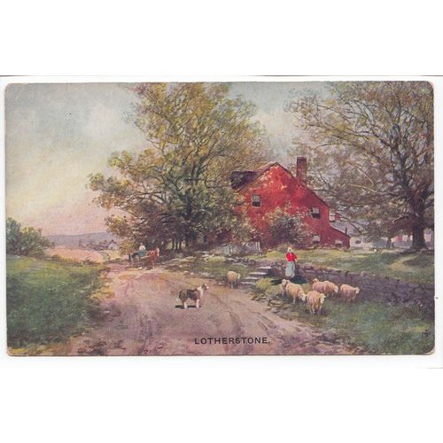 Sheep Lotherstone S Hildesheimer & Co Ltd Art Postcard 5290