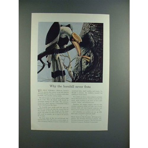 1939 Travelers Insurance Ad w/ Great Hornbill