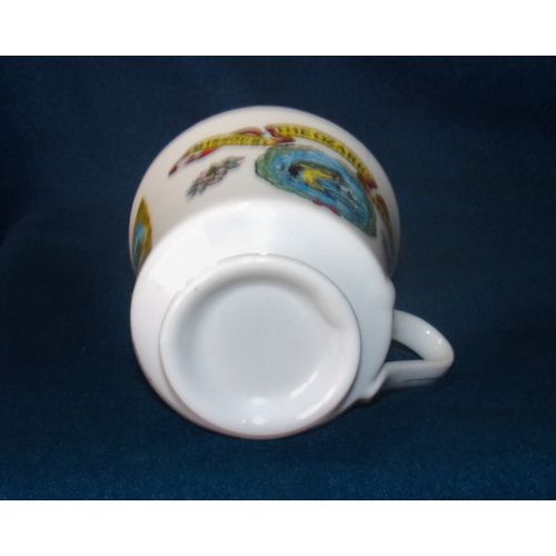 The Ozarks Missouri & Arkansas Souvenir 3" cup teacup fish caverns old mill nice