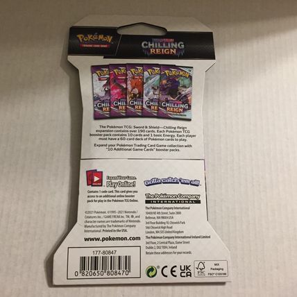 NEW Pokemon Sword & Shield Spectrier Chilling Reign
