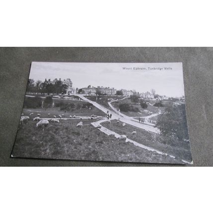 Early real photo Postcard - Mount Ephraim - Tunbridge Wells, Kent