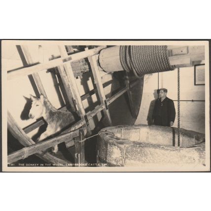 The Donkey in the Wheel, Carisbrooke Castle, Isle of Wight, c.1930s - Nigh RPPC
