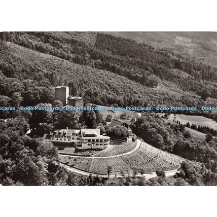 D031063 Burg Windeck. Rebgut und Burggaststatte. 758. Buhl Baden Postfach 65. Mo