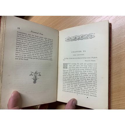 RARE* 1880s MARY & CATHERINE LEE "ROSAMOND FANE" FICTION ANTIQUE BOOK (P4)