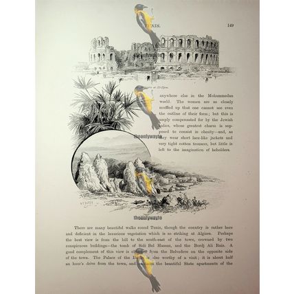 Amphitheatre, El-Djem & Ruins Of Utica, Tunisia, Book Illustration (Print), 1890