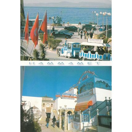 Hammamet Multiview Tunisia Postcard posted VGC