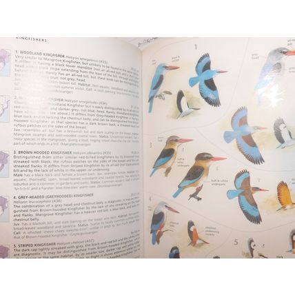 SASOL BIRDS OF SOUTHERN AFRICA (PB, GC, 2002)