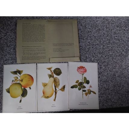 Vintage Botanical Prints by Charles Raymond
