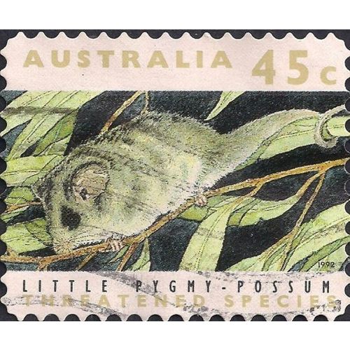 AUSTRALIA, MAMMALS, Little Pygmy-Possum, brown 1992, 45c, #2