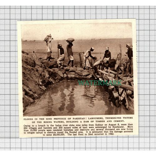 C2759) Sind Province of Pakistan Floods - 1948 Clip