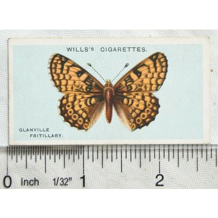 1927 Wills British Butterflies No. 21 Glanville Fritillary