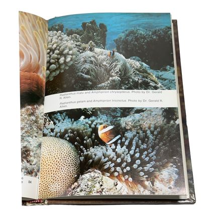 Sea Anemones By U. Erich Friese - Hardcover TFH Publications 1972 Pre-owned
