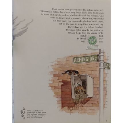 NATURE IN THE NEIGHBORHOOD by GORDON MORRISON SIGNED CHILDRENS HCDJ 1st EDITION
