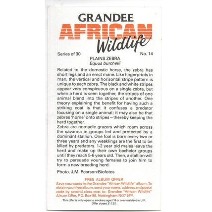 PLAYER'S GRANDEE CIGAR CARD AFRICAN WILDLIFE 1990 EXCELLENT No.14 PLAINS ZEBRA