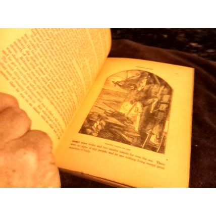 Children's Book Robinson Crusoe &The White Cat By McLoughlin Bros Circa 1900