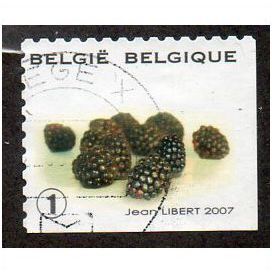 BEL 2007 (52c)(S/A) 'FRUIT- BLACKBERRIES' FINE USED (EBID10434)