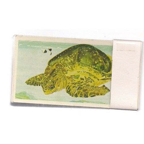 VANISHING WILDLIFE full set 1-40 Brooke Bond Tea cards