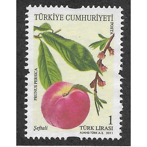 TKY 2011 1YTL 'FRUITING TREES' FINE USED (EBID53-169)
