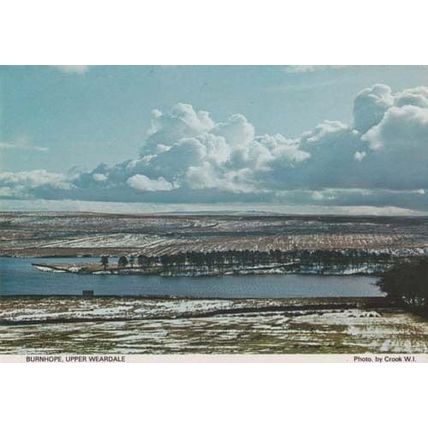 Burnhope Upper Weardale Durham Rare Womens Institute Photo Postcard