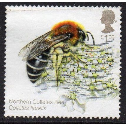 GB 2015 Bees - Northern Colletes Bee £1 Used