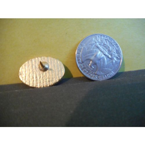 Metropolitan Toronto,Ontario,Canada Lapel Pin